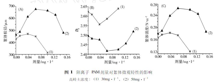 阳离子PAM剂量对絮体微观特性的影响.jpg